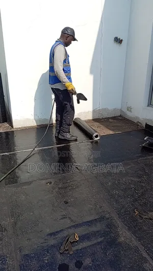 Sockdologer Leak-Proofing Expert