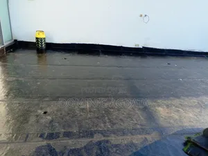 Bee's Knees Leak-Proofing Expert