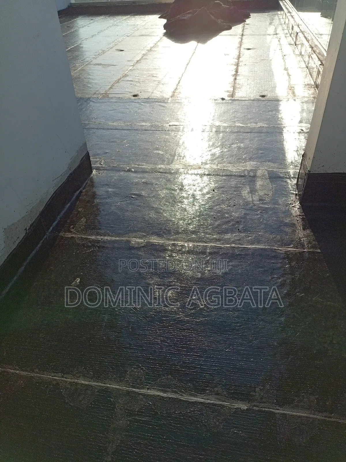 Bee's Knees Leak-Proofing Expert