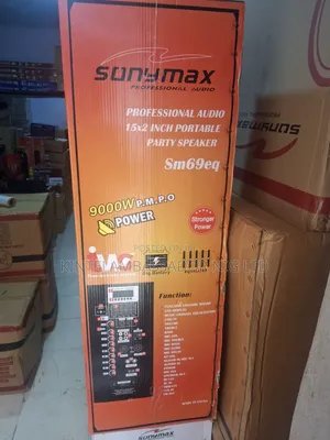 Double 15  Professional  Public Address System