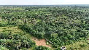 Exclusive Bulk Land Sale