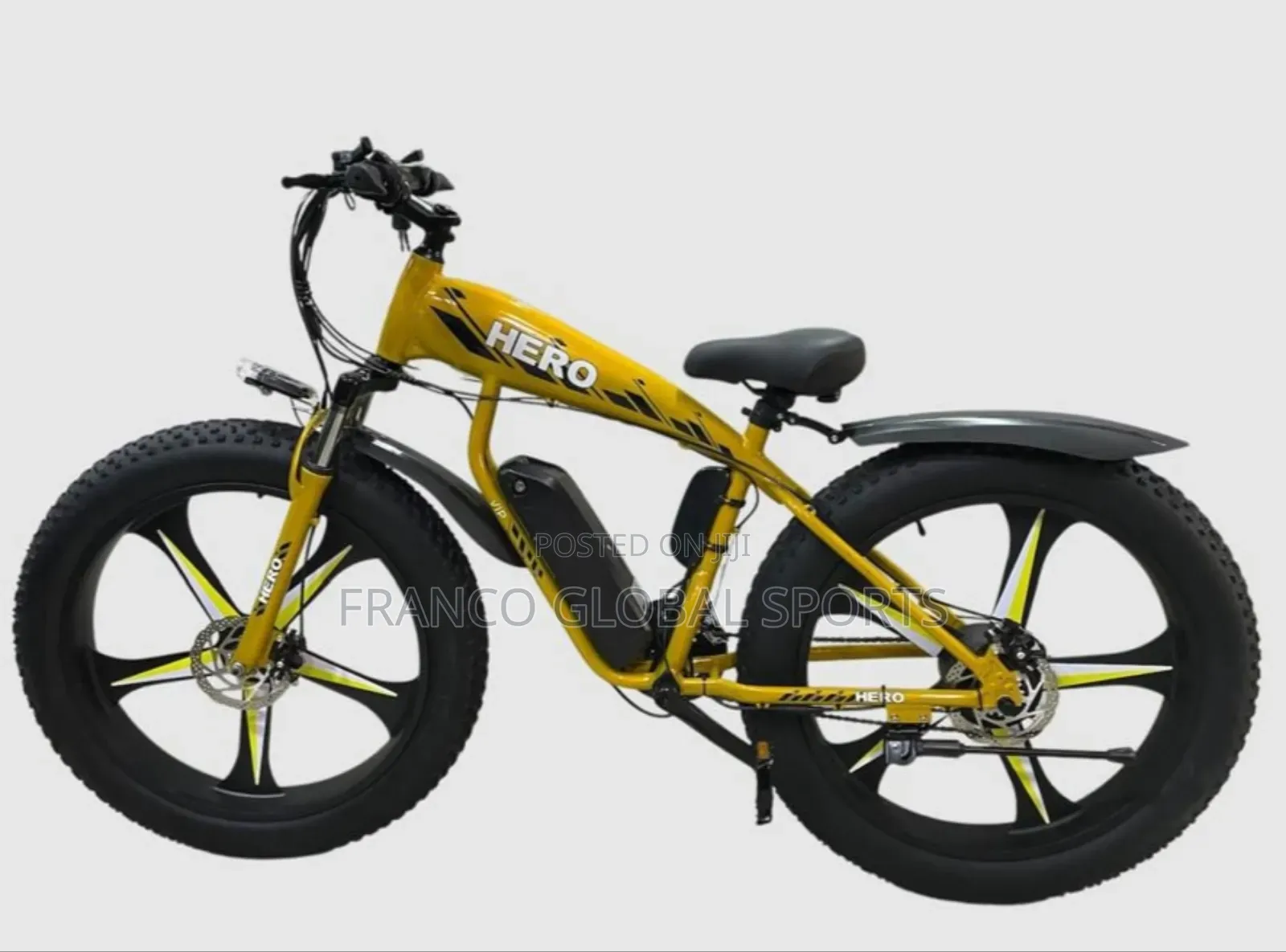 Non Foldable Hero Electric Bike