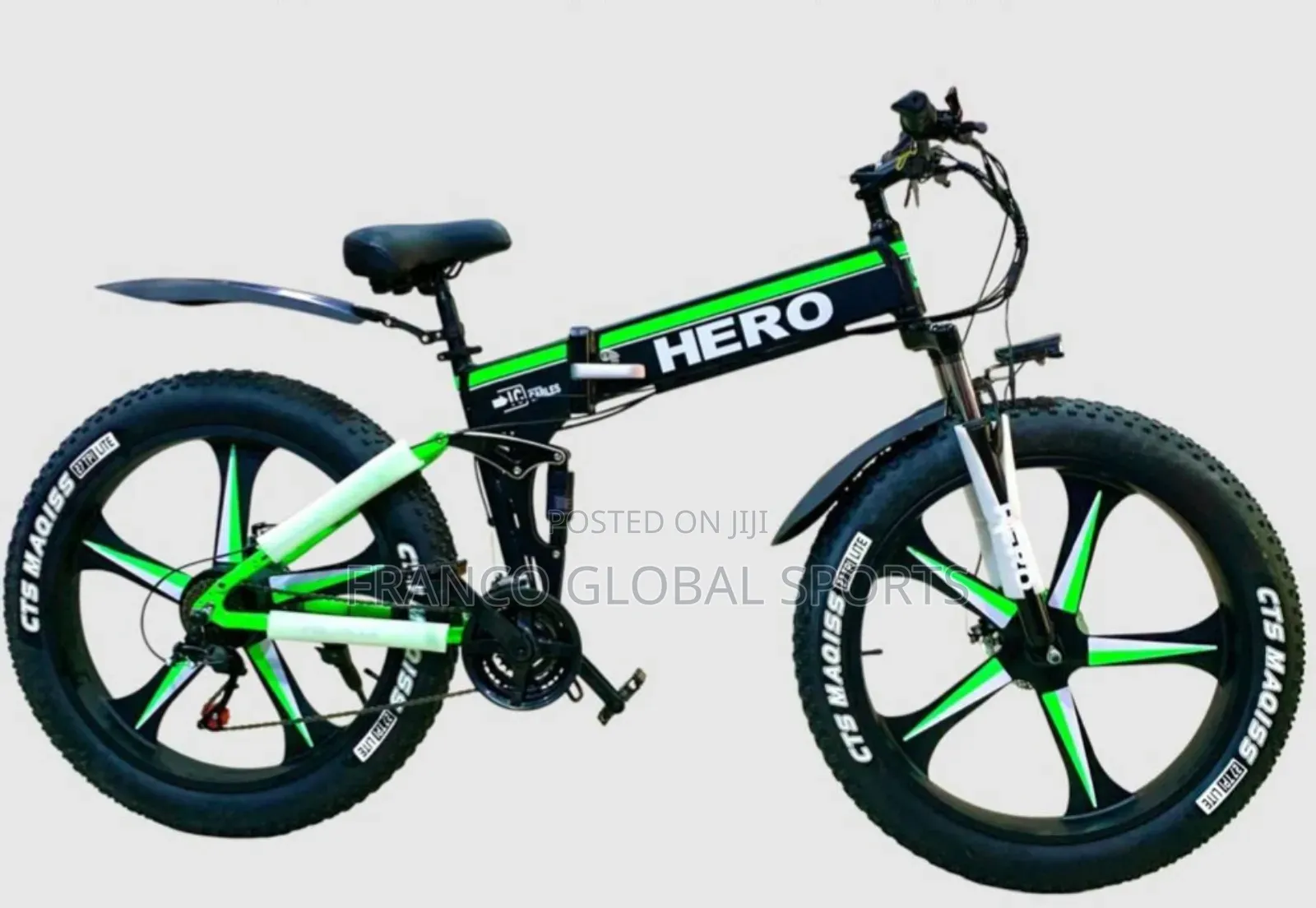 Foldable Hero Electric Green Bicycle