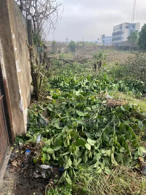 Land For Sale In Alapoti Ogun State