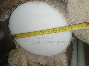 Teflon Rods 250mm by 1meter