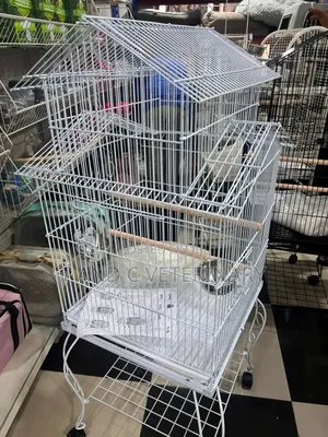 Unique Bird Parrot Cage White