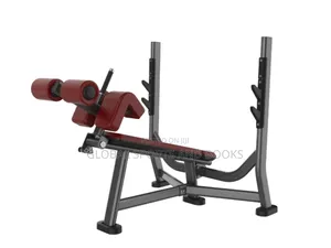 Commercial Olympic Bench Press With Rap In