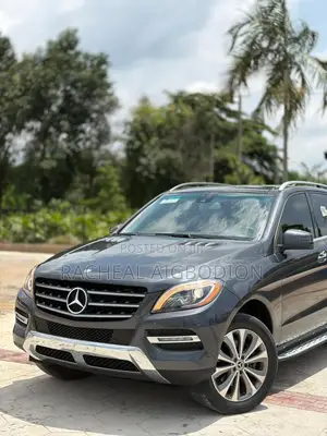 Mercedes-Benz M Class 2013 Gray