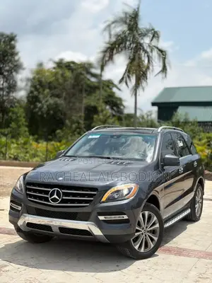Mercedes-Benz M Class 2013 Gray