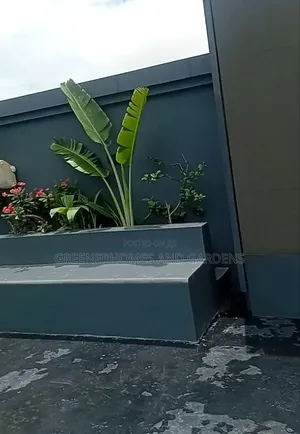 Plants Installation