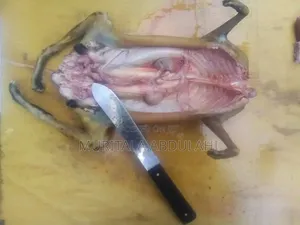 Rabbits Meat