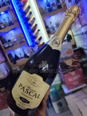Pascal Brut 6bts
