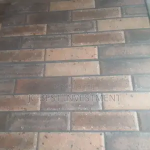 Standard Outside Tiles Bricks 25/50