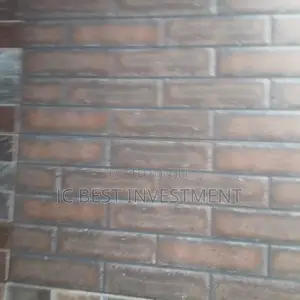 Standard Outside Tiles Bricks 25/50