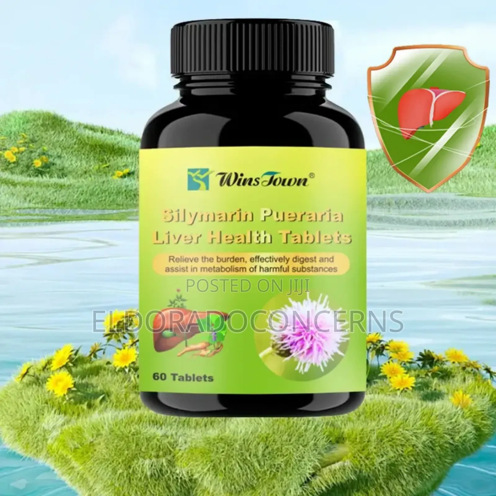 Liver Detox (Promo Price)