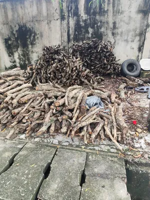 Firewood for Cooking Available in Lagos