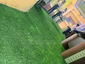 35mm Carpet Grass