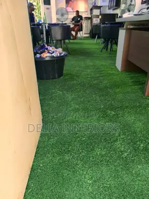 35mm Carpet Grass