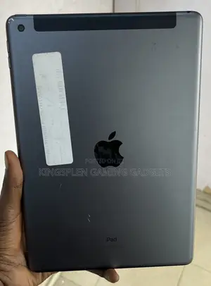 Apple iPad 10.2 (2020) 256 GB Gray