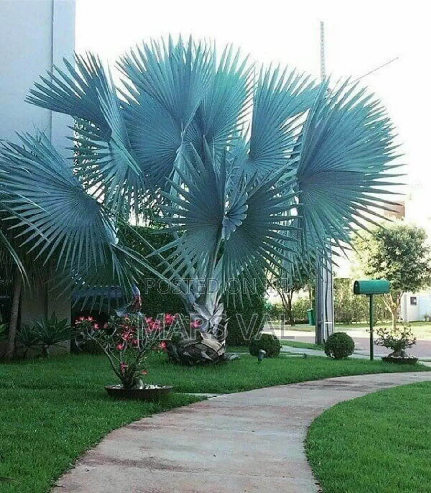 Horticulture