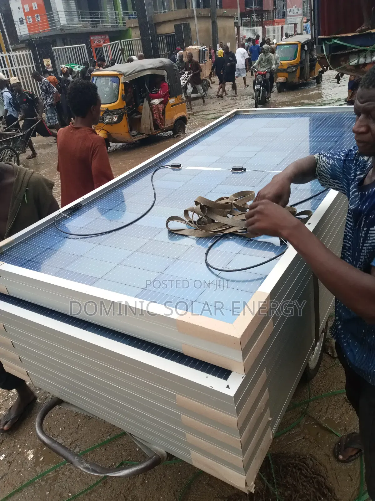 650watt/144cells Jinko Bificial Solar Panel