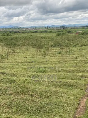 Allocation of 4bedroom Penthouse (Blocka9)