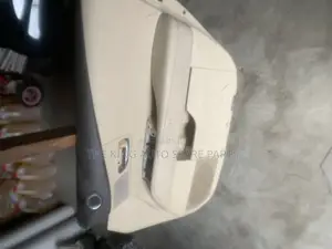 Lexus Rx 350 2010 Model Door Mat Front Right