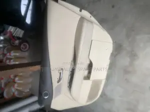 Lexus Rx 350 2010 Model Door Mat Front Right