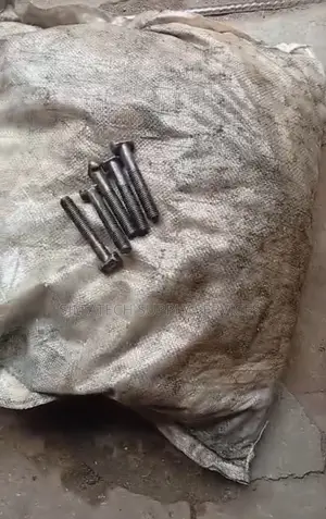 Scaffold Clip Nut