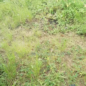 Land Available for Sale