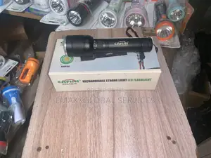 Industrial Light With Charging Port