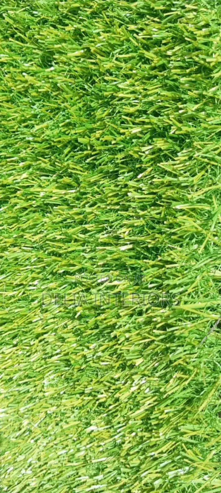 40mm Dead Grass