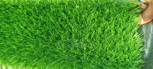 40mm Dead Grass