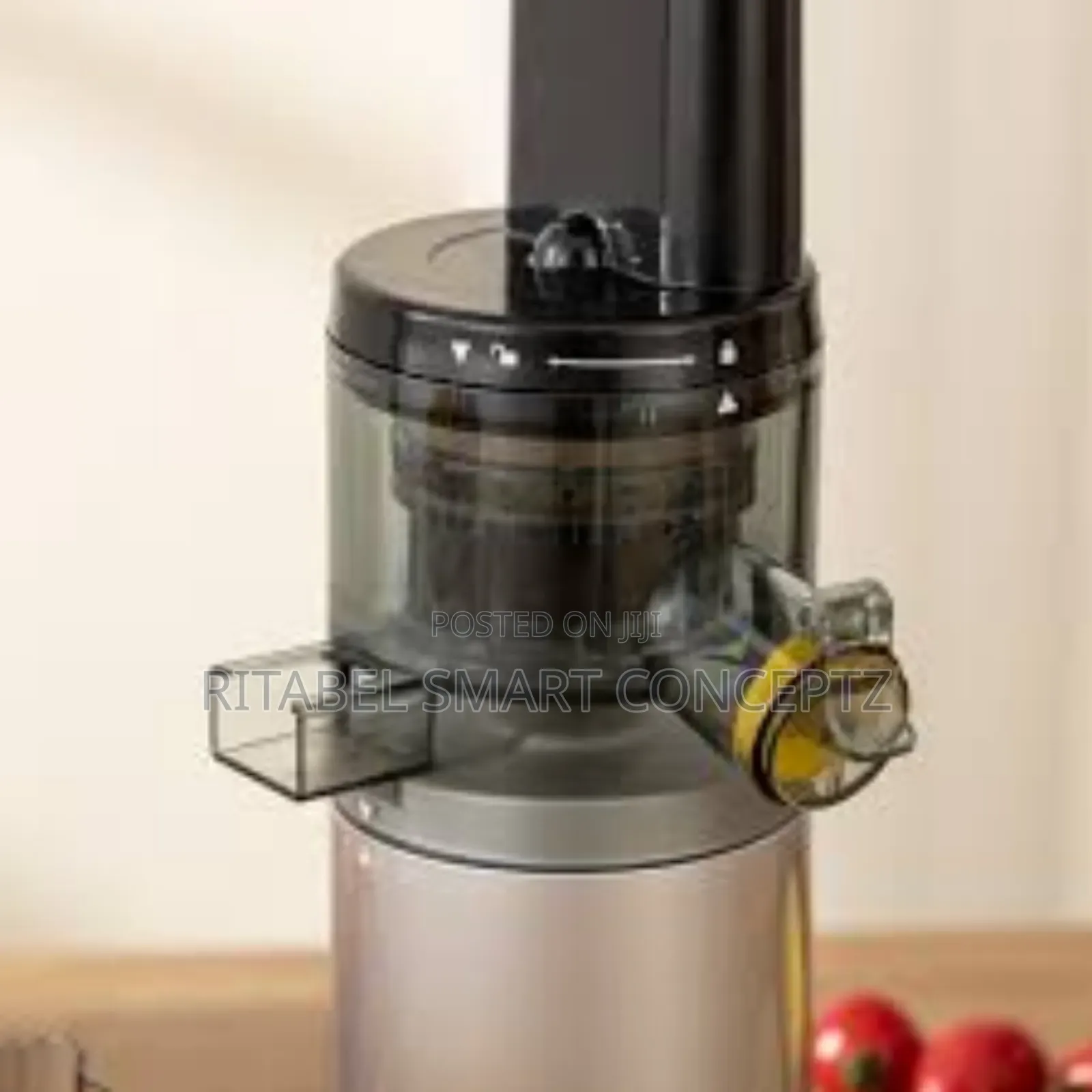Slow Juicer