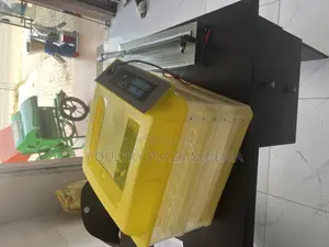 Solar Egg Incubator 112 Capacity