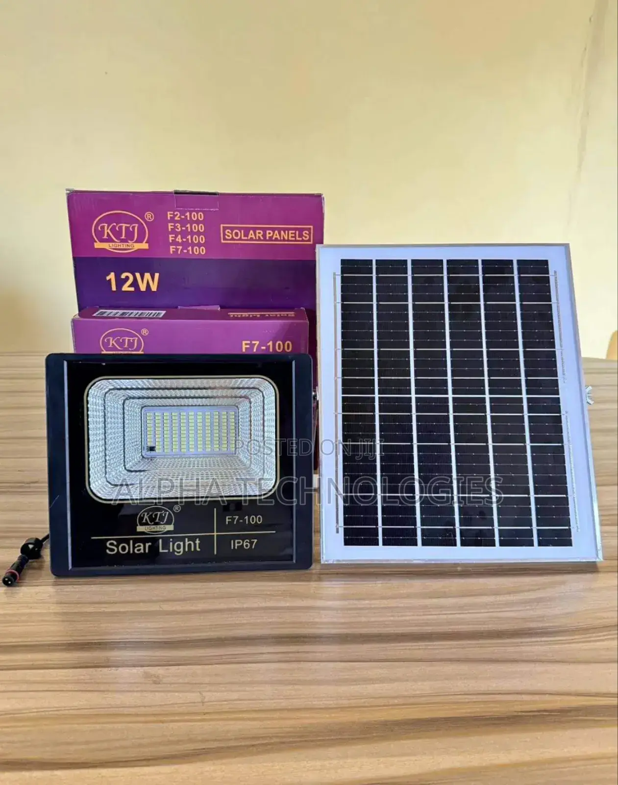 100watts Flood Light