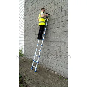 Telescope Ladder Heavy Duty