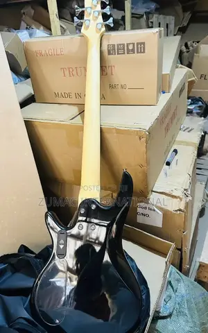 Professional Active Guitar