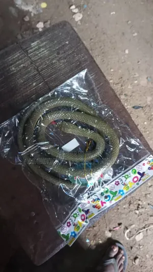 Rubber Snake