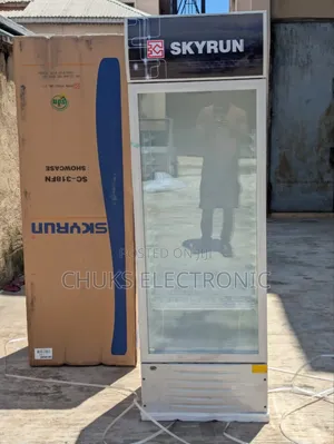 Skyrun Standing Chiller 318l