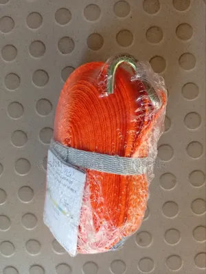 Cargo Belt