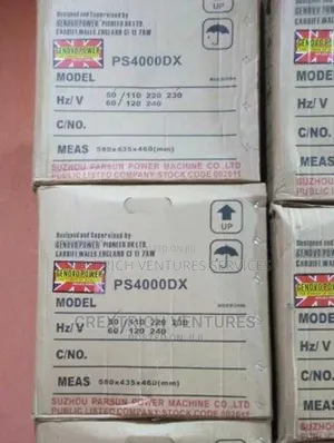 Parsun 3.0 Kva (Ps4000dx)