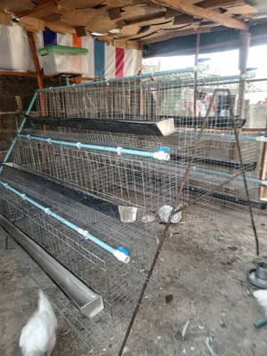 Battery Cage