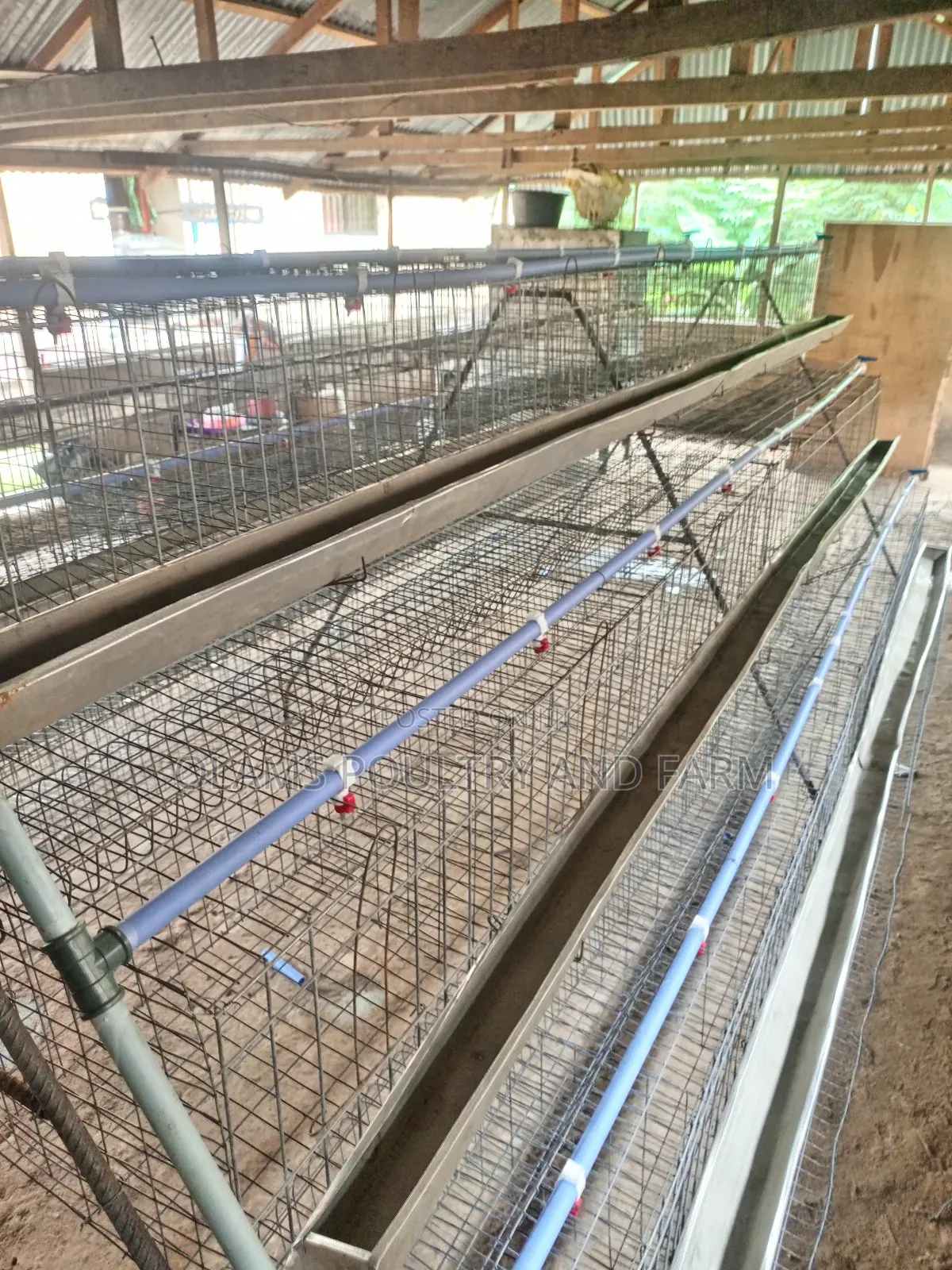 Battery Cage