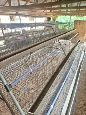 Battery Cage