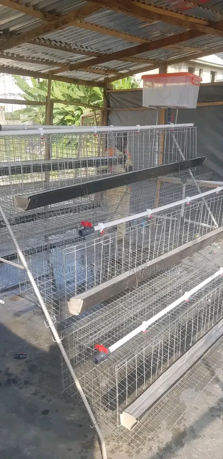 Battery Cage