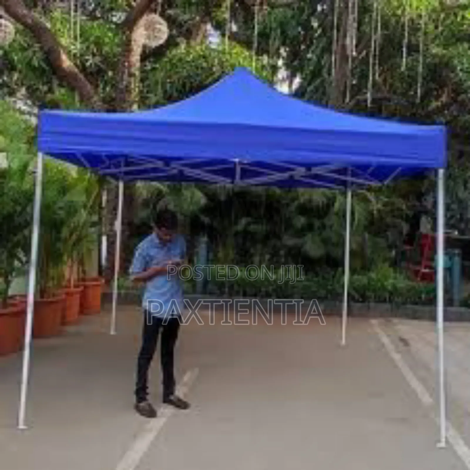 Party/Social Events Canopy