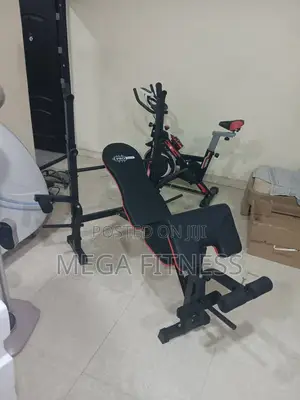 Pro-Tech Weightlifting Bench
