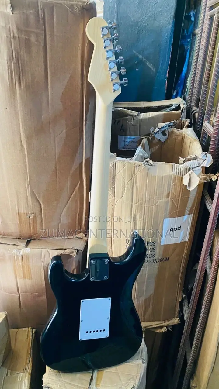 Professional Lead Guitar