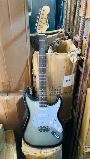 Professional Lead Guitar